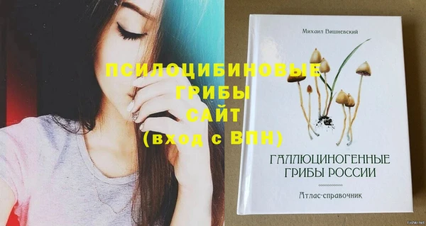 эйфоретик Касимов