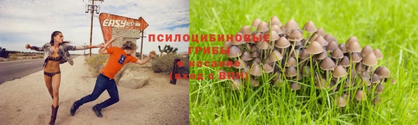 бутират Карпинск