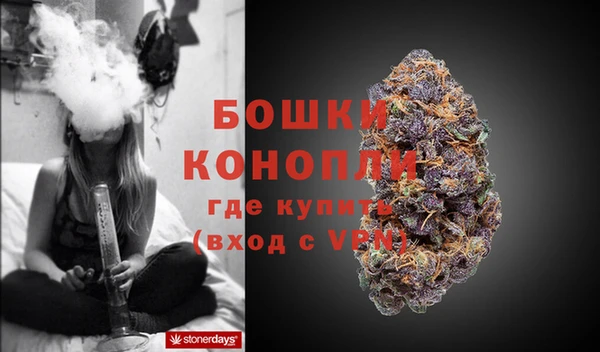 эйфоретик Касимов